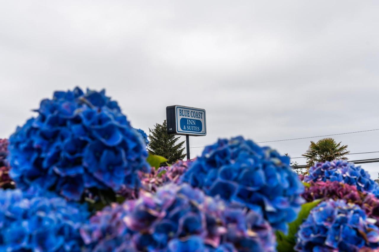 Blue Coast Inn & Suites Brookings Exterior photo